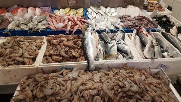 سعر السمك اليوم، ارتفاع البلطي 7 جنيهات وانخفاض كبير في البوري والسردين المجمد