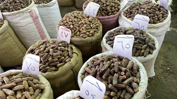 أسعار بلح رمضان في سوق الساحل بروض الفرج.. الفئة المتوسطة من 80 إلى 130 جنيها.. الفاخرة تصل لـ 200 جنيه.. والأسواني الأعلى في الجودة