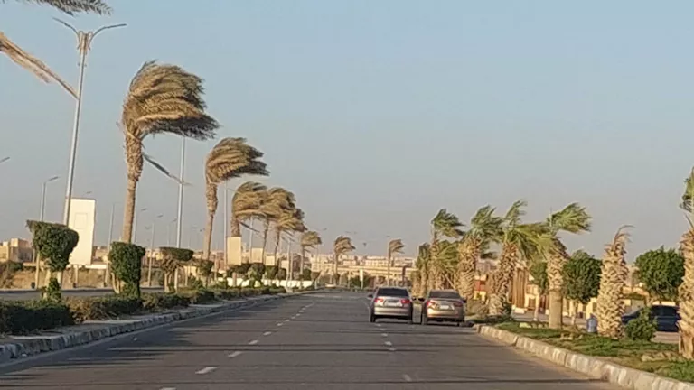 الأرصاد تعلن طقس الساعات المقبلة وتحذر المواطنين