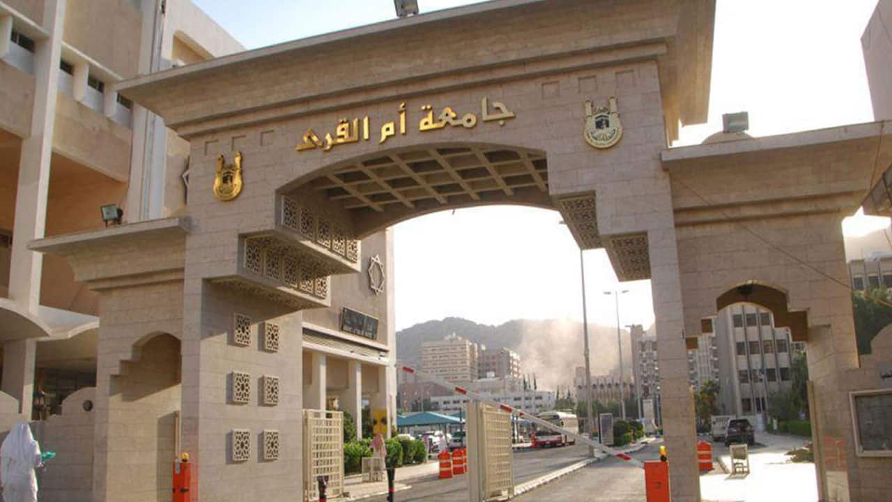 منصتا «رشيد» و«شتلاتي».. ابتكار رقمي واعد يعزز الاستدامة