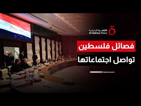 وزير الخارجية المصري يعلن استمرار اجتماعات القاهرة مع الفصائل الفلسطينية