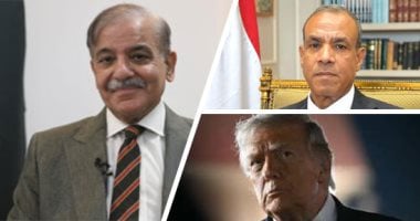 مصر ترحب بالتوصل لاتفاق بين أمريكا وإيران..الخارجية: نأمل تهيئة بيئة داعمة للسلام ودفع الجهود الدبلوماسية لإرساء الأمن والاستقرار بالشرق الأوسط.. وتؤكد: تسوية الخلافات عبر الحوار تمثل نهجا اساسياً لتح
