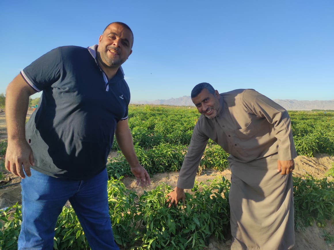 الزراعة: تخفيض 50% من خدمات الميكنة ودعم شامل لمزارعي سيناء