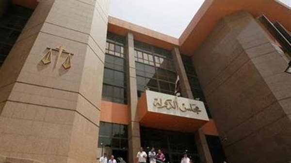 طفلة قاصر وسيدة.. تأجيل نظر الدعوتين من أحد المحامين لجلسة 27 يونيو