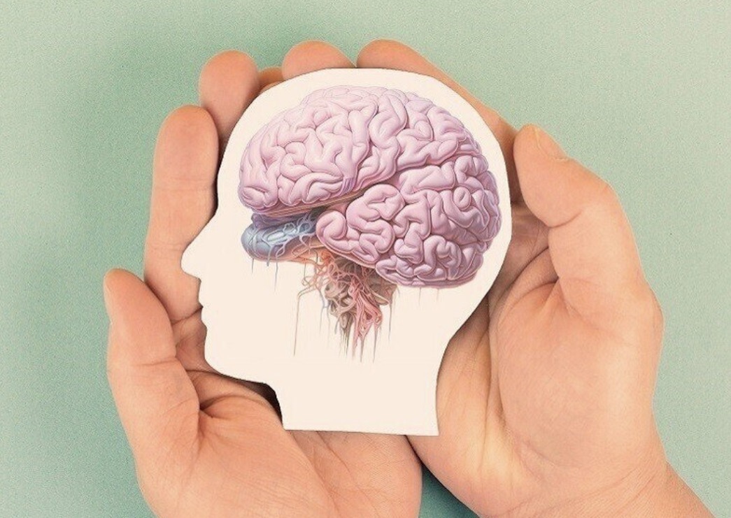 طريقة جديدة لتجديد خلايا الدماغ