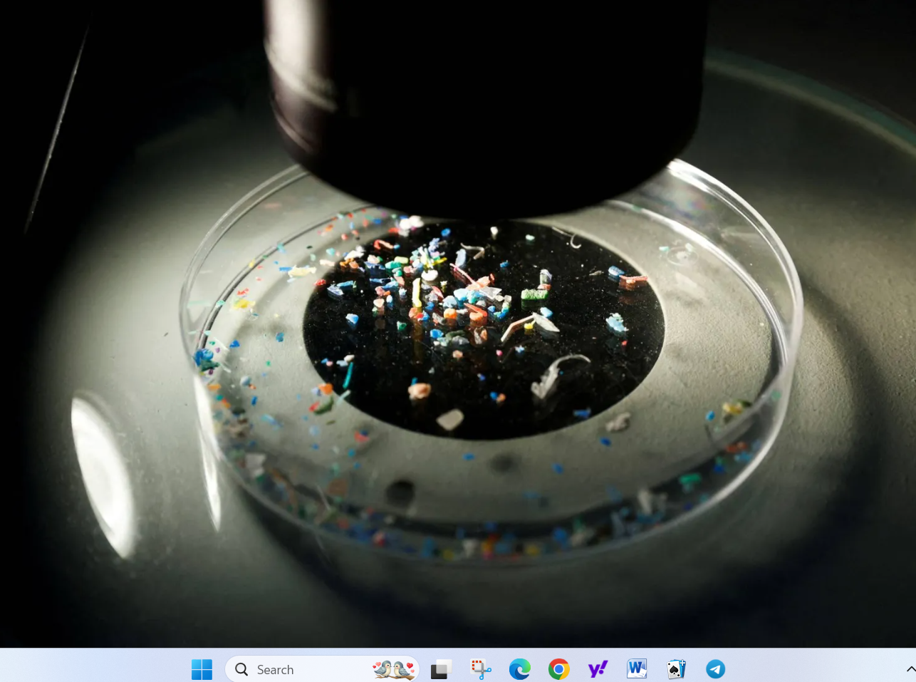 أطعمة يومية مليئة بالجسيمات البلاستيكية الدقيقة عليك الحذر منها