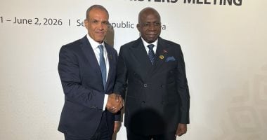 وزير الخارجية يؤكد دعم مصر لجهود تحقيق الأمن والاستقرار فى أفريقيا