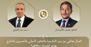 وزير الخارجية لنظيره السنغافورى يؤكد ضرورة تعزيز أمن الملاحة بالبحر الأحمر