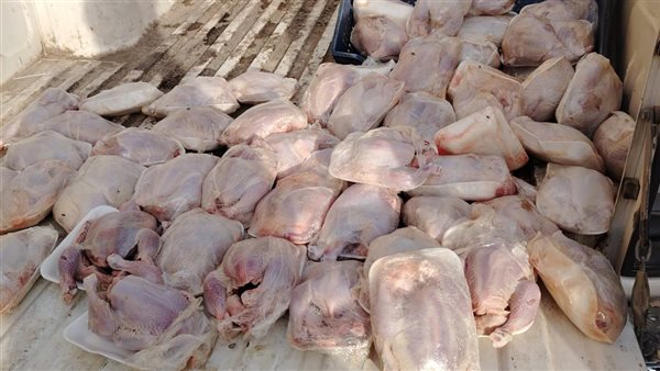 تحرير 23 مخالفة للمخابز في حملة تموينية مكبرة على أسواق الفيوم