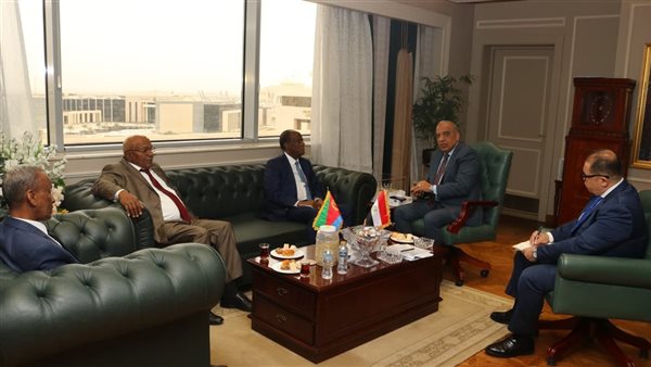 وزير الكهرباء يبحث مع مستشار رئيس دولة اريتريا تعزيز التعاون بمجالات الطاقة المتجددة