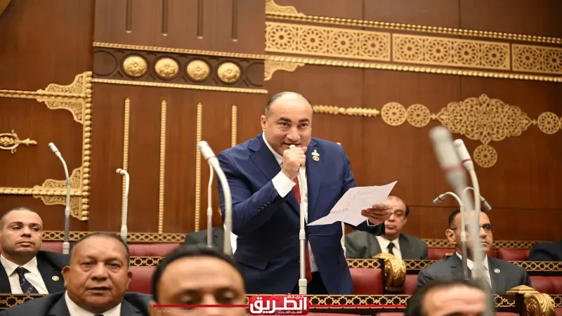 برلماني: خطة التنمية تأتي في ظرف اقتصادي عالمي صعب وتتطلب مرونة في التنفيذ