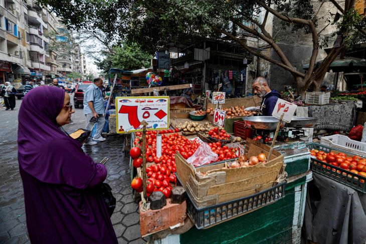 أسعار الطماطم تحلق في مصر… غضب شعبي وتبريرات حكومية