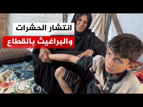 Gaza Strip: Pesticide shortage threatens displacement camps with disease outbreaks and exacerbate...