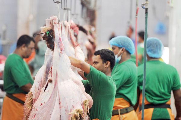 "البيئة" تؤكد أهمية ذبح الأضاحي داخل المسالخ