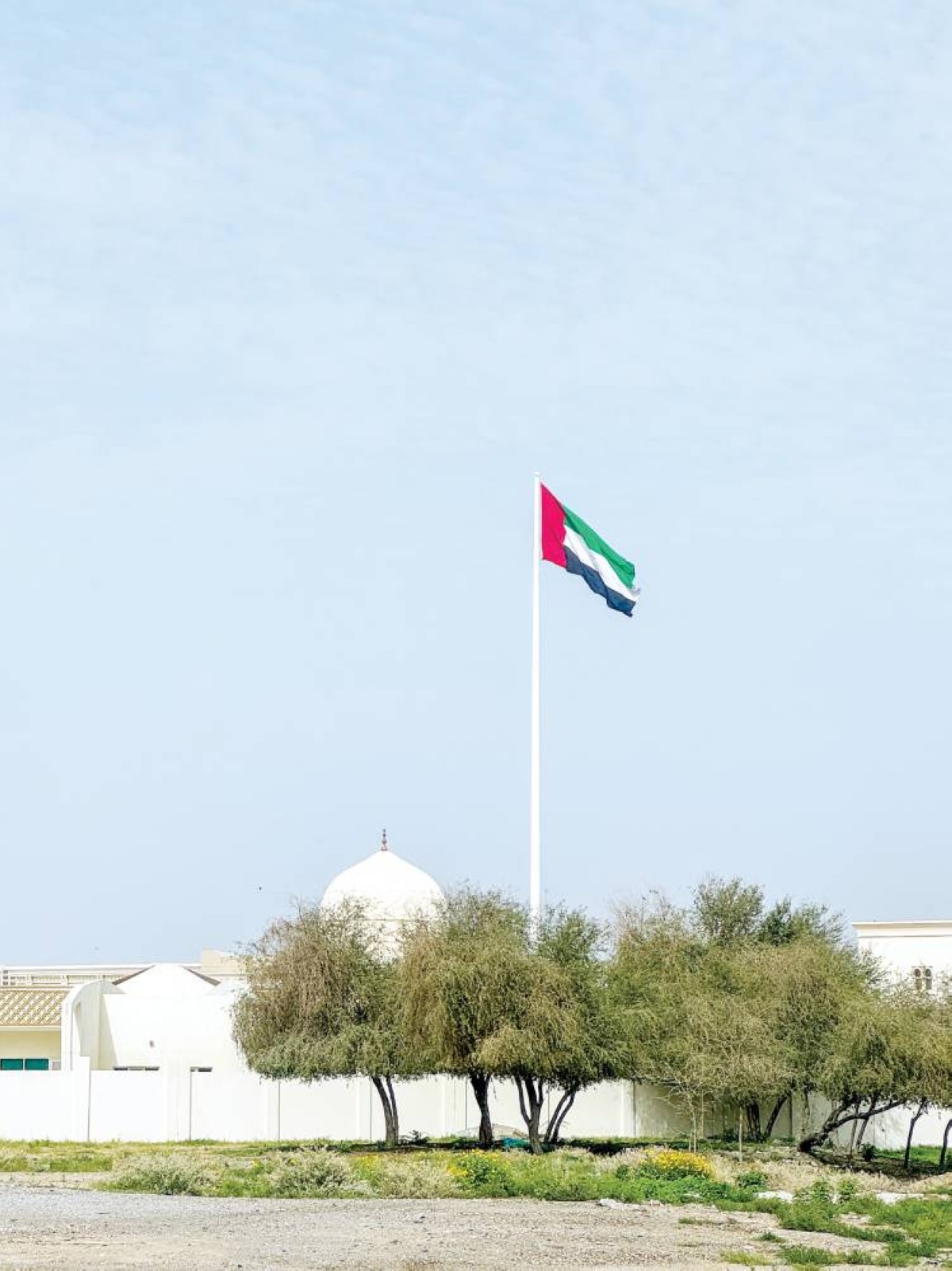 الإمارات تتوشح بالعَلَم راية عزها ورمز وحدتها