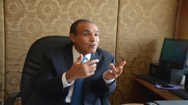 وزير الخارجية: «إعلان فلسطين» سيصدر في ختام أعمال القمة الإفريقية|فيديو