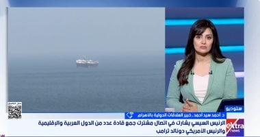 خبير: المقاربة المصرية تعزز المسار الدبلوماسى ونترقب اتفاقا بين واشنطن وطهران