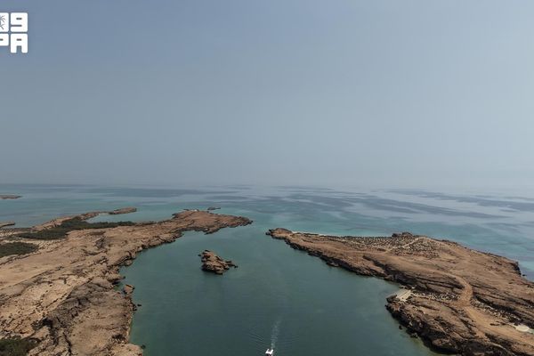 غابات القندل في فرسان.. رحلةٌ بحرية بين الخضرة والماء تستقطب زوار العيد