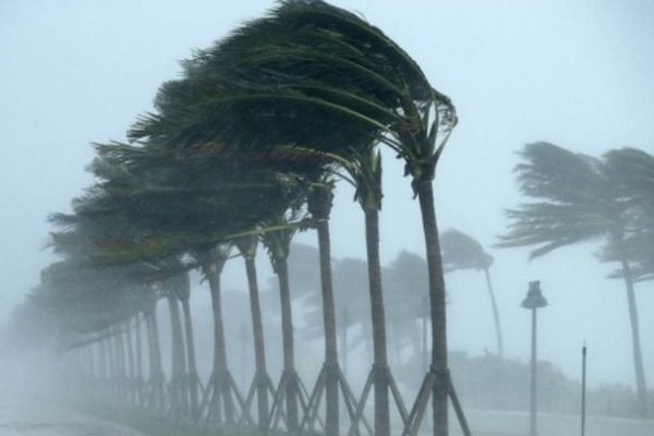أمطار رعدية ورياح نشطة مثيرة للأتربة والغبار على 7 مناطق