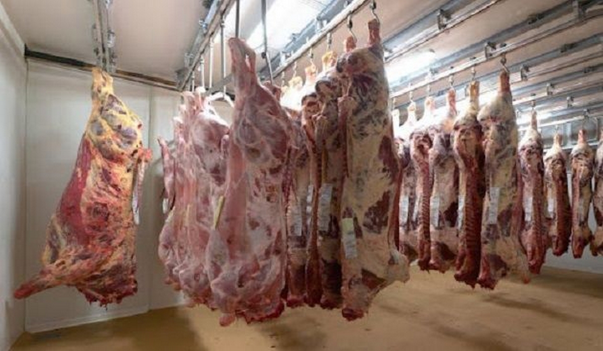 رمضان 2026: شركة اللحوم تُعلن عن توفير لحوم الضأن ولحوم الأبقار المحلية بسعر 42.9 دينار للكلغ