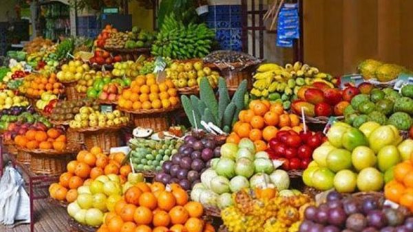 انخفاض العنب وارتفاع الكنتالوب، أسعار الفاكهة في المنيا اليوم الجمعة 24 أبريل 2026