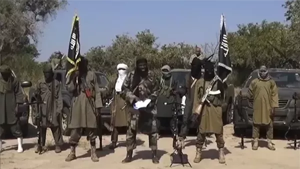 نيجيريا تعلن إعادة دمج 10 آلاف مقاتل سابق من بوكو حرام في المجتمع
