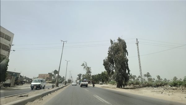 طقس متقلب ورياح محملة بالأتربة تضرب الدقهلية (فيديو وصور)