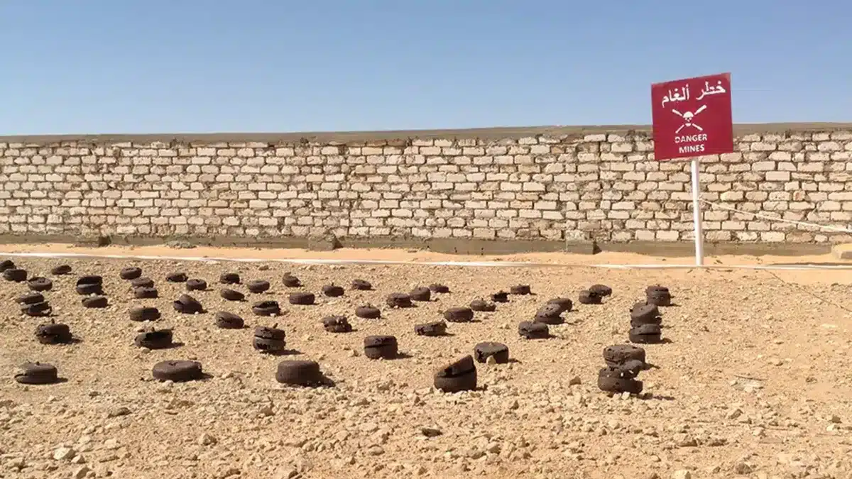 الجزائر تستحضر جهود نزع الألغام وتكرم العقيد الروسي لينكين