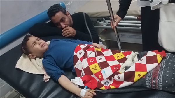 العناية الإلهية تنقذ طفلا من "قطيع كلاب ضالة" بدمنهور