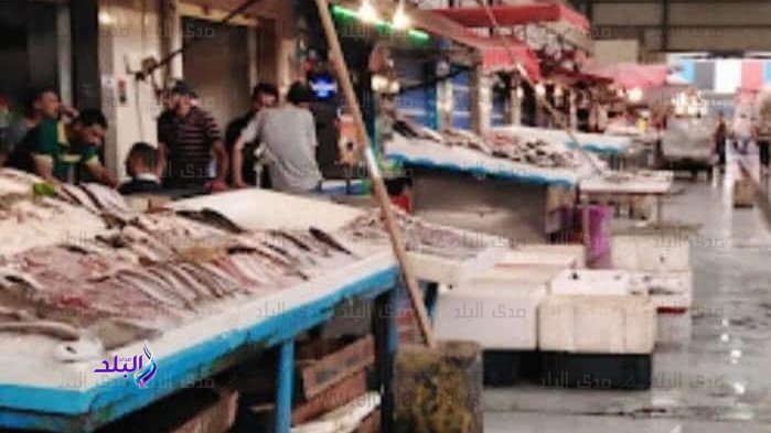 الجمبري نزل 40 جنيه.. انخفاض أسعار الأسماك اليوم الأحد 12