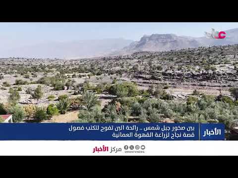 بث مباشر | نشرة أخبار الخامسة مساء