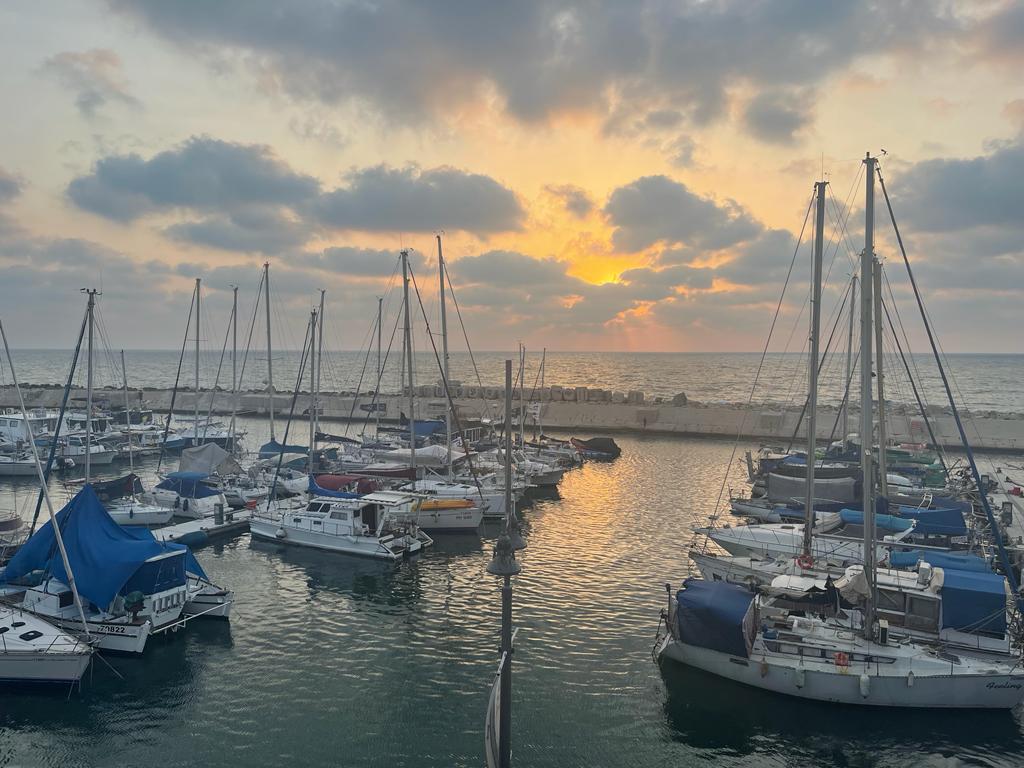 حالة الطقس: ارتفاع ملموس على درجات الحرارة وأجواء دافئة ومغبرة