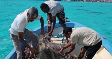 شباك الصيد خطر يهدد الشعاب المرجانية فى البحر الأحمر.. فرق ودوريات من إدارة المحميات الطبيعية لإنقاذ الكائنات البحرية من الفخ القاتل.. الشباك غير المصرح بها لا تفرق بين المسموح به والممنوع