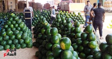 رئيس مركز المناخ: البطيخ آمن تماما وشائعات "المسرطنات" ضرب لمصالح الفلاحين.. ويكشف: الظهور المبكر فى الأسواق نتيجة تطور التقنيات الزراعية وتعدد العروات.. والقلب الأبيض والفراغات الداخلية عيوب فسيولوجي