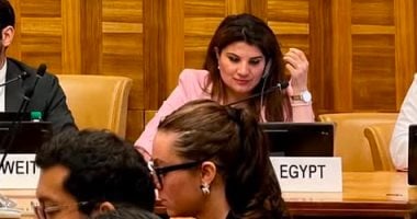 الأمم المتحدة تعتمد قراراً مصرياً بخصوص حماية العاملين في المجال الإنساني