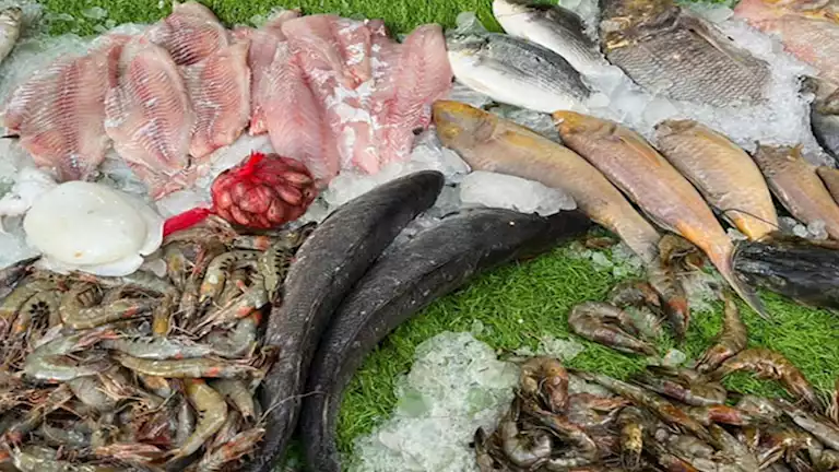 64 جنيها لكيلو البلطي.. أسعار الأسماك في سوق العبور اليوم