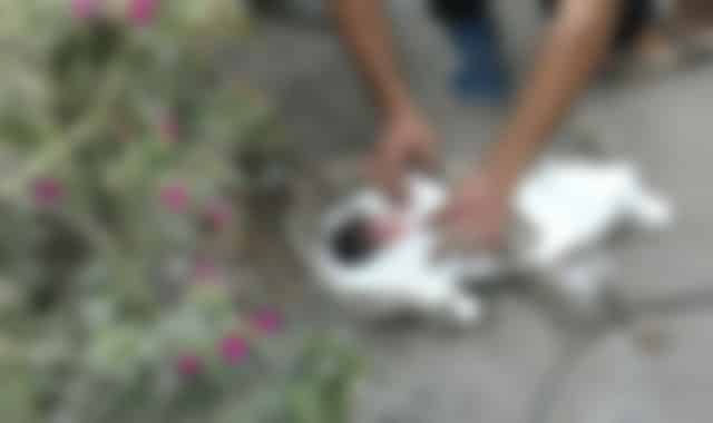 استنفار أمني بجرسيف إثر العثور على رضيعين متخلى عنهما في ظرف أسبوع واحد