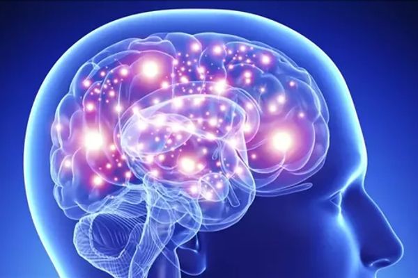 الدخل والتوتر المالي… كيف يؤثر على صحة الدماغ