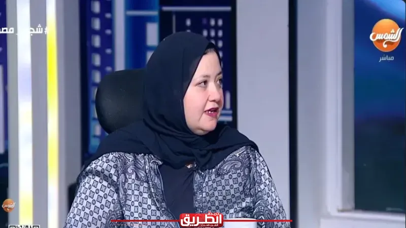 أستاذ طب نفسي: ترك الأطفال 24 ساعة أمام الألعاب الإلكترونية يدمر قدراتهم العقلية