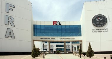 الرقابة المالية تضع حزام أمان لمجالس الإدارات عبر وثيقة تأمين ضد الأخطاء المهنية