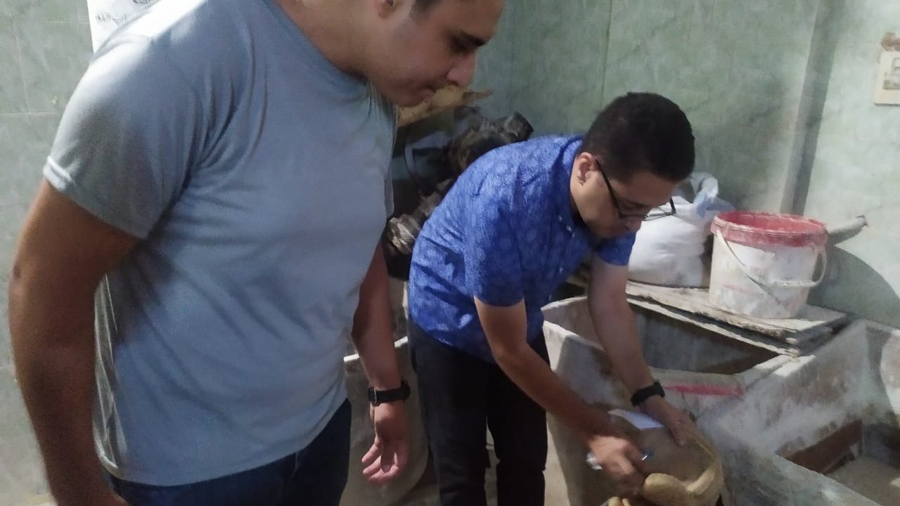 ضبط 518 كيلو لحوم ودواجن وأسماك مدخنة "رنجة" فاسدة بالغربية