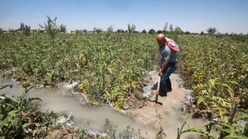 محافظة درعا تمنع ري المزروعات بمياه الصرف الصحي