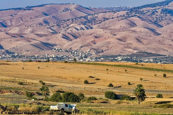 تسارعُ عمليّات التّهجير والاستيطان يغيّر المشهد في الأغوار الفلسطينية