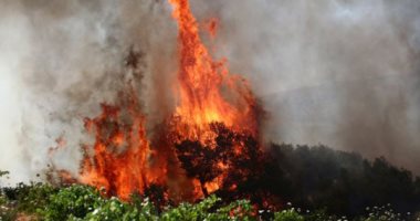 حرائق الغابات تجتاح جنوب شرق الولايات المتحدة: ولاية جورجيا تواجه أسوأ خسائر عقارية في تاريخها
