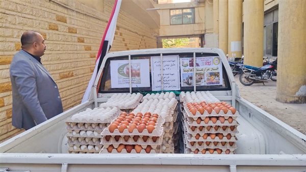 بتخفيضات 25%.. طرح البيض والفراخ والمنتجات الغذائية بمنافذ الزراعة
