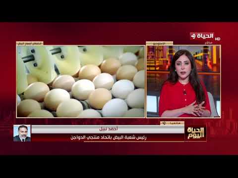 الحياة اليوم - ما بين 20 إلى 25 جنيها.. انخفاض سعر كرتونة البيض اليوم في بورصة الدواجن