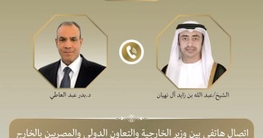 وزير الخارجية يبحث هاتفيا مع نظيره الإماراتي التطورات الإقليمية