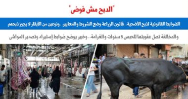 الدبح مش فوضى.. الضوابط القانونية لذبح الأضحية