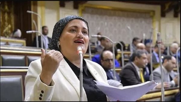 النائبة سناء السعيد: قانون الأحوال الشخصية يمس الأسرة والتوازن فيه لصالح الطفل.. وتصريحات الحكومة بشأن العدادات الكودية تحمل المواطن مسؤولية فشل الجهاز التنفيذي (حوار)