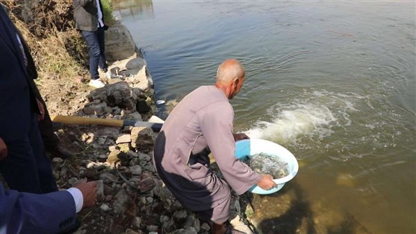 إطلاق مليون وحدة زريعة بلطي نيلي بفرع دمياط في الغربية